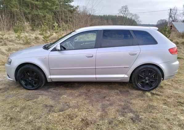 Audi A3 cena 16999 przebieg: 206700, rok produkcji 2007 z Chojnów małe 742